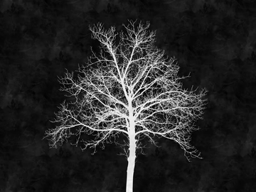 BLACKBOARD - Digital printing wallpaper by Architects Paper - view 2
